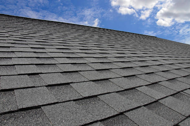 Best Roof Leak Repair  in West Branch, IA